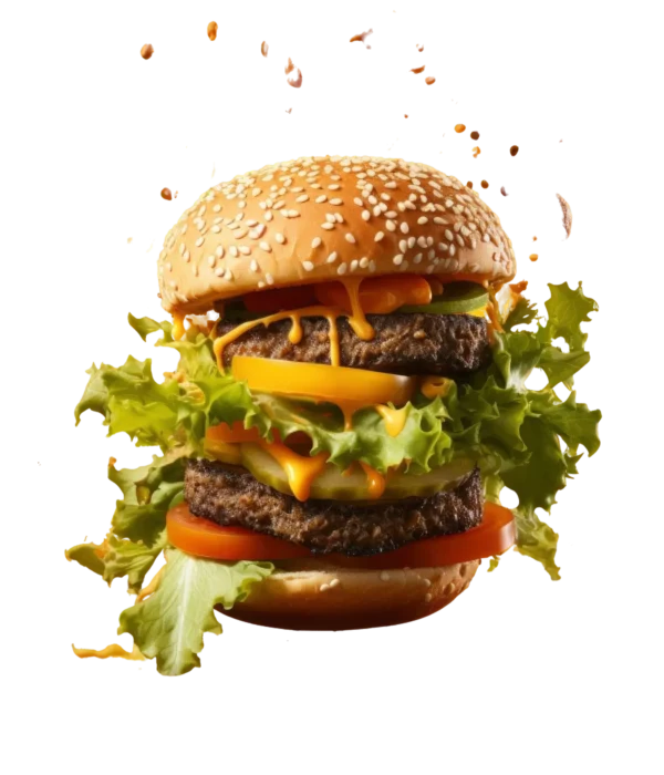 hero-image-burger